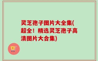 灵芝孢子图片大全集(超全！精选灵芝孢子高清图片大合集)