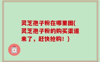 灵芝孢子粉在哪里图(灵芝孢子粉的购买渠道来了，赶快抢购！)