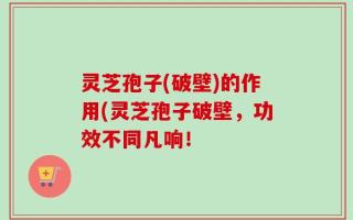灵芝孢子(破壁)的作用(灵芝孢子破壁，功效不同凡响！