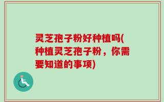 灵芝孢子粉好种植吗(种植灵芝孢子粉，你需要知道的事项)
