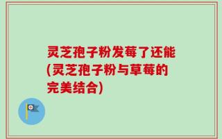 灵芝孢子粉发莓了还能(灵芝孢子粉与草莓的完美结合)