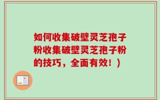 如何收集破壁灵芝孢子粉收集破壁灵芝孢子粉的技巧，全面有效！)