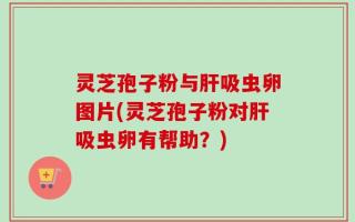 灵芝孢子粉与肝吸虫卵图片(灵芝孢子粉对肝吸虫卵有帮助？)