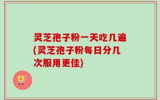 灵芝孢子粉一天吃几遍(灵芝孢子粉每日分几次服用更佳)