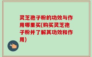 灵芝孢子粉的功效与作用哪里买(购买灵芝孢子粉并了解其功效和作用)