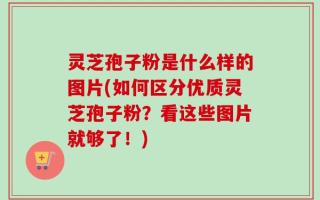 灵芝孢子粉是什么样的图片(如何区分优质灵芝孢子粉？看这些图片就够了！)