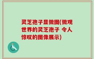 灵芝孢子显微图(微观世界的灵芝孢子 令人惊叹的图像展示)