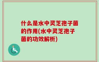 什么是水中灵芝孢子菌的作用(水中灵芝孢子菌的功效解析)