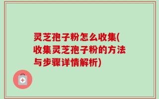灵芝孢子粉怎么收集(收集灵芝孢子粉的方法与步骤详情解析)