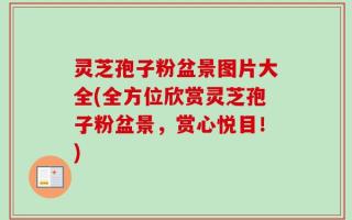 灵芝孢子粉盆景图片大全(全方位欣赏灵芝孢子粉盆景，赏心悦目！)