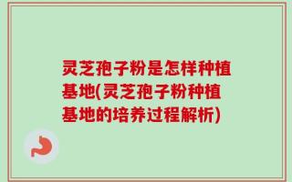 灵芝孢子粉是怎样种植基地(灵芝孢子粉种植基地的培养过程解析)