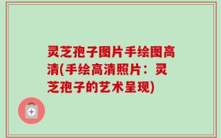 灵芝孢子图片手绘图高清(手绘高清照片：灵芝孢子的艺术呈现)
