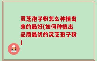 灵芝孢子粉怎么种植出来的最好(如何种植出品质最优的灵芝孢子粉)