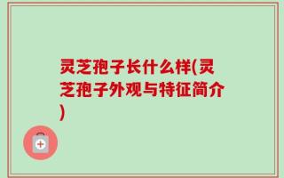 灵芝孢子长什么样(灵芝孢子外观与特征简介)