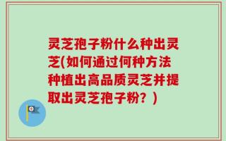 灵芝孢子粉什么种出灵芝(如何通过何种方法种植出高品质灵芝并提取出灵芝孢子粉？)