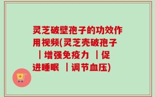 灵芝破壁孢子的功效作用视频(灵芝壳破孢子 ｜增强免疫力 ｜促进睡眠 ｜调节血压)