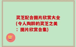 灵芝配合图片欣赏大全(令人陶醉的灵芝之美：图片欣赏合集)