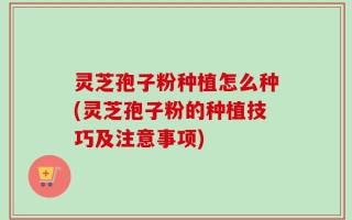 灵芝孢子粉种植怎么种(灵芝孢子粉的种植技巧及注意事项)