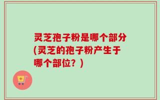 灵芝孢子粉是哪个部分(灵芝的孢子粉产生于哪个部位？)