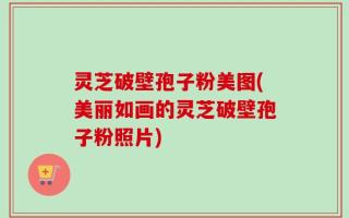 灵芝破壁孢子粉美图(美丽如画的灵芝破壁孢子粉照片)