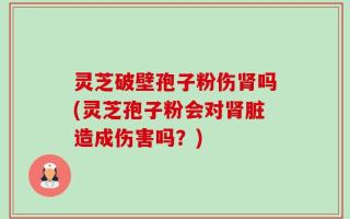 灵芝破壁孢子粉伤肾吗(灵芝孢子粉会对肾脏造成伤害吗？)