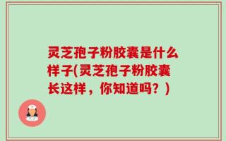灵芝孢子粉胶囊是什么样子(灵芝孢子粉胶囊长这样，你知道吗？)