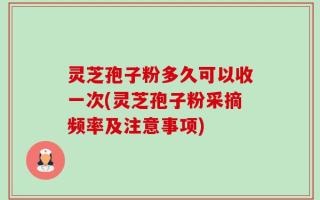 灵芝孢子粉多久可以收一次(灵芝孢子粉采摘频率及注意事项)