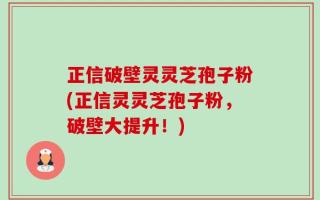 正信破壁灵灵芝孢子粉(正信灵灵芝孢子粉，破壁大提升！)