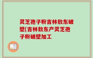 灵芝孢子粉吉林敖东破壁(吉林敖东产灵芝孢子粉破壁加工