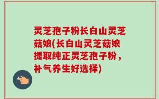 灵芝孢子粉长白山灵芝菇娘(长白山灵芝菇娘提取纯正灵芝孢子粉，补气养生好选择)