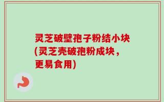 灵芝破壁孢子粉结小块(灵芝壳破孢粉成块，更易食用)
