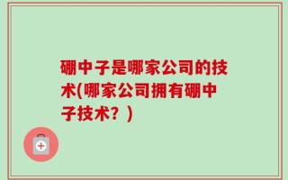硼中子是哪家公司的技术(哪家公司拥有硼中子技术？)