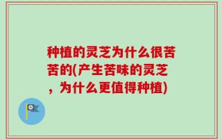 种植的灵芝为什么很苦苦的(产生苦味的灵芝，为什么更值得种植)