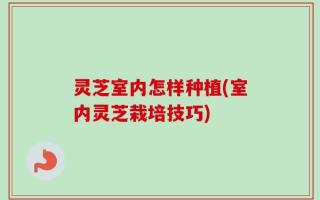 灵芝室内怎样种植(室内灵芝栽培技巧)