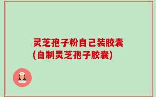 灵芝孢子粉自己装胶囊(自制灵芝孢子胶囊)