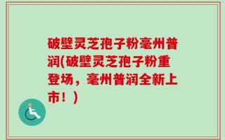 破壁灵芝孢子粉毫州普润(破壁灵芝孢子粉重登场，毫州普润全新上市！)