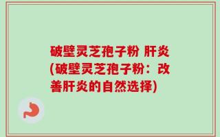 破壁灵芝孢子粉 肝炎(破壁灵芝孢子粉：改善肝炎的自然选择)