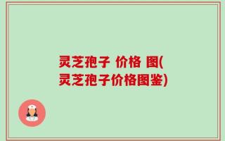 灵芝孢子 价格 图(灵芝孢子价格图鉴)