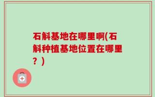 石斛基地在哪里啊(石斛种植基地位置在哪里？)