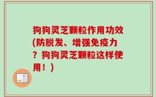 狗狗灵芝颗粒作用功效(防脱发、增强免疫力？狗狗灵芝颗粒这样使用！)