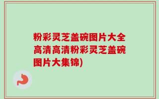 粉彩灵芝盖碗图片大全高清高清粉彩灵芝盖碗图片大集锦)