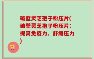 破壁灵芝孢子粉压片(破壁灵芝孢子粉压片：提高免疫力、舒缓压力)