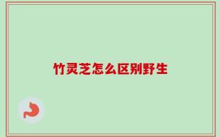 竹灵芝怎么区别野生