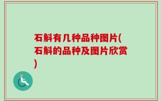 石斛有几种品种图片(石斛的品种及图片欣赏)