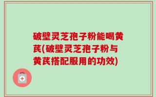 破壁灵芝孢子粉能喝黄芪(破壁灵芝孢子粉与黄芪搭配服用的功效)