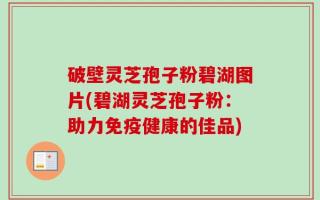 破壁灵芝孢子粉碧湖图片(碧湖灵芝孢子粉：助力免疫健康的佳品)