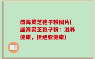 盛海灵芝孢子粉图片(盛海灵芝孢子粉：滋养健康，拒绝亚健康)