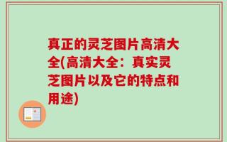 真正的灵芝图片高清大全(高清大全：真实灵芝图片以及它的特点和用途)