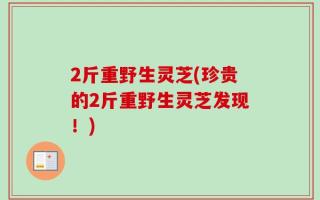 2斤重野生灵芝(珍贵的2斤重野生灵芝发现！)
