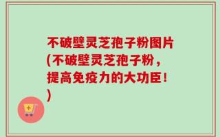 不破壁灵芝孢子粉图片(不破壁灵芝孢子粉，提高免疫力的大功臣！)